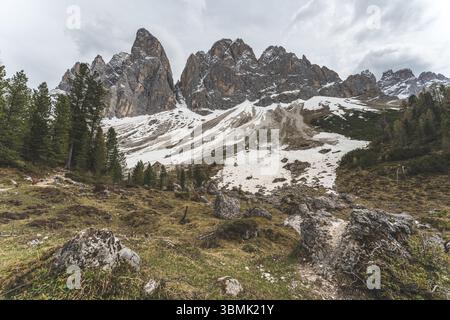 Paysage montagneux alpin enneigé dans les Dolomites, Italie, avec terrain rocheux et pins. Photo de haute qualité Banque D'Images
