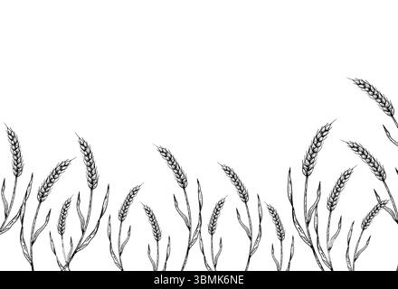 Bannière vectorielle dessinée à la main avec des oreilles de blé détaillées dans un style linéaire. Croquis vintage parfait pour la ferme biologique ou les illustrations sur le thème de la récolte Illustration de Vecteur