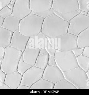 Matériau de texture de photo sans couture 4k de reptile gaufré de couleur blanche ou surface de cuir de peau de serpent. Banque D'Images