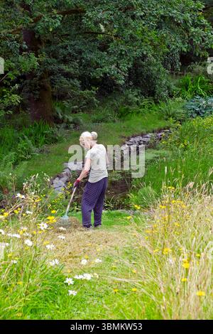 Vue verticale d'une femme plus âgée travaillant dans le jardin de fleurs sauvages fleurs de prairie ratissant l'herbe par étang avec mur de pierre en juin été pays de Galles UK KATHY DEWITT Banque D'Images