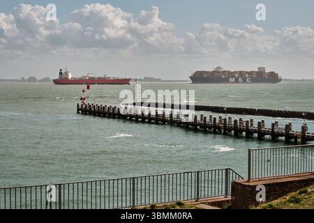 28 mai 2025 - Vlissingen-pays-Bas : un navire-citerne de taille moyenne et un grand porte-conteneurs MSC traversent l'estuaire du Westerschelde près de Vlissingen, Banque D'Images