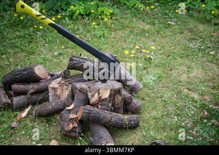 Scène extérieure avec une hache intégrée dans un bloc de coupe à côté d'un tas de bûches, suggérant une vie rustique, la préparation du bois de chauffage, ou le travail dans les bois. Banque D'Images