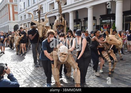 Londres, Royaume-Uni. 27 juin 2025. Les marionnettistes se produisent avec des marionnettes d'animaux grandeur nature à Covent Garden, qui fait partie de l'art et de l'action climatique des « troupeaux ». Les marionnettes parcourront 20 000 km du bassin du Congo au cercle polaire arctique, symbolisant ainsi la « fuite du désastre climatique ». Crédit : Vuk Valcic/Alamy Live News Banque D'Images