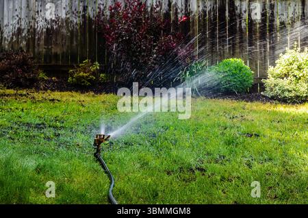 Arroseur de pelouse dans une cour arrière pulvérisant la pelouse et les buissons à côté d'une clôture Banque D'Images