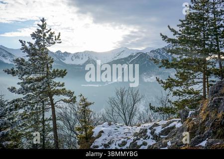 Green Trail à travers Nosal, Zakopane, Pologne Banque D'Images