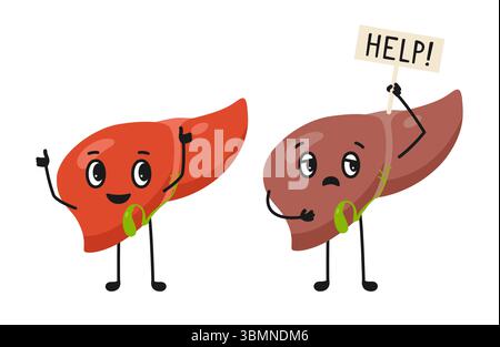 Deux mascottes de foie saine et malsaine illustration enfantine de dessin animé. Foie joyeux donnant les pouces vers le haut, triste caractère malade. Vérifiez la santé des organes digestifs. Foie et vésicule biliaire. Affiche médicale vectorielle Illustration de Vecteur