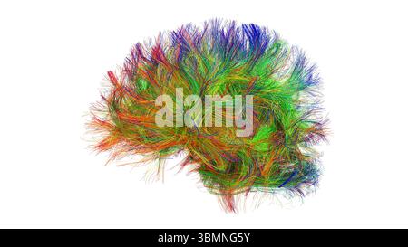 Illustration d'un tractogramme cérébral à haute résolution, représentant le réseau complexe de voies neuronales dans le cerveau humain. Les faisceaux de fibres complexes sont visualisés à l'aide de l'imagerie de tenseur de diffusion avancée (DTI), fournissant des informations sur la connectivité et la structure de la substance blanche du cerveau. Banque D'Images