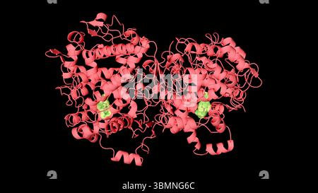 Illustration du site où l'ibuprofène se lie à l'enzyme cyclooxygénase (COX) dans le corps humain Banque D'Images