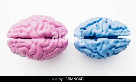 Illustration comparant un cerveau sain (à gauche) et un cerveau atteint de la maladie d'Alzheimer (à droite). Les cerveaux atteints de la maladie d'Alzheimer présentent un rétrécissement et une atrophie notables dans les régions cérébrales, en particulier dans le cortex cérébral et l'hippocampe. Banque D'Images