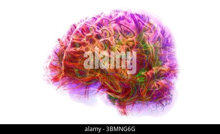 Illustration d'un tractogramme cérébral à haute résolution, représentant le réseau complexe de voies neuronales dans le cerveau humain. Les faisceaux de fibres complexes sont visualisés à l'aide de l'imagerie de tenseur de diffusion avancée (DTI), fournissant des informations sur la connectivité et la structure de la substance blanche du cerveau. Banque D'Images