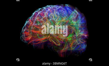 Illustration d'un tractogramme cérébral à haute résolution, représentant le réseau complexe de voies neuronales dans le cerveau humain. Les faisceaux de fibres complexes sont visualisés à l'aide de l'imagerie de tenseur de diffusion avancée (DTI), fournissant des informations sur la connectivité et la structure de la substance blanche du cerveau. Banque D'Images