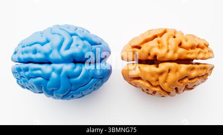 Illustration comparant un cerveau sain (à gauche) et un cerveau atteint de la maladie d'Alzheimer (à droite). Les cerveaux atteints de la maladie d'Alzheimer présentent un rétrécissement et une atrophie notables dans les régions cérébrales, en particulier dans le cortex cérébral et l'hippocampe. Banque D'Images