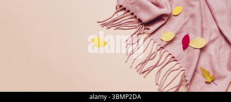Écharpe confortable rose avec pompons et feuilles éparses sur bannière pastel Banque D'Images