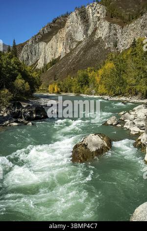 La rivière de montagne coule sur les rochers. Les rivières sont altaï. La nature est l'altaï Banque D'Images