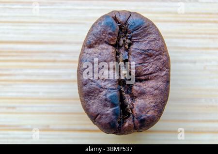 Grain de café singulier avec une teinte violette distincte et une brillance subtile capturée dans les moindres détails sur un fond en bois clair. Banque D'Images