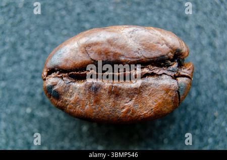 Photographie macro d'un grain de café avec un angle légèrement incliné révélant la rainure complexe et les tons riches de l'extérieur torréfié. Banque D'Images