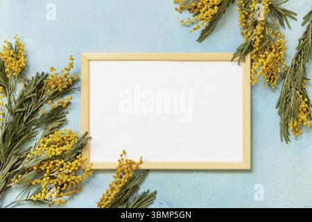 Fleurs Mimosa avec cadre photo sur fond bleu. Concept de fête des femmes, fête des mères, fête de la Saint-Valentin, anniversaire. Carte de vœux. Vue de l'ab Banque D'Images