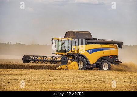 Moissonneuse-batteuse moderne avec une grande faucheuse dans un champ de blé. Travail agricole saisonnier Banque D'Images