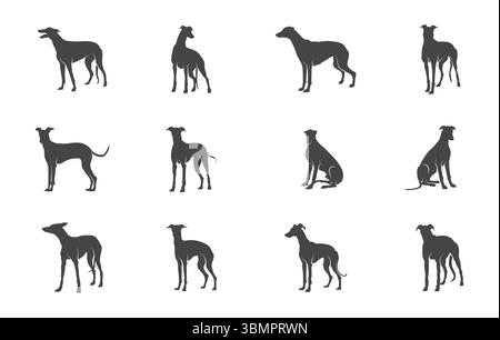 Lévrier SVG chien, silhouette de chien lévrier, vecteur de chien lévrier, silhouette de lévrier, silhouette de chien, chien SVG, Greyhound Dog Clipart, Greyhound SVG Illustration de Vecteur