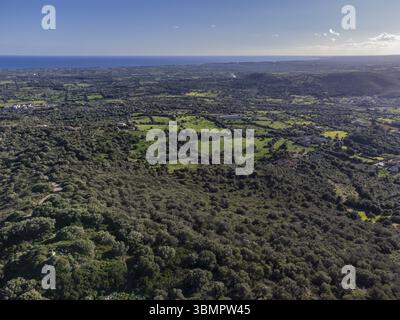 Punta de ses Talaies, centre du champ de bataille, son Carrio, lieu de la bataille de majorque, son Servera, Majorque, Îles Baléares, Espagne, Europe Banque D'Images