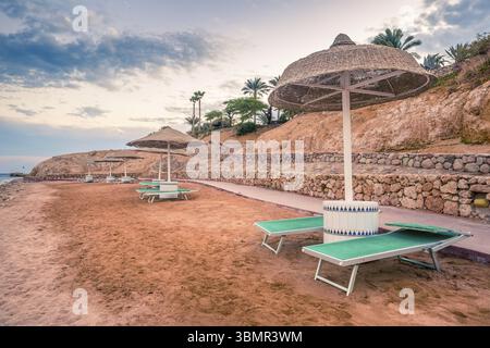 Parasols en paille et chaises longues sur la magnifique plage tropicale. Beau fond naturel, Egypte, Afrique Banque D'Images