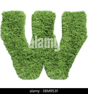 Herbal grass alphabet lettre majuscule W. isolé sur illustration 3D blanche Banque D'Images