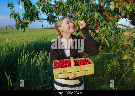 Gros plan d'une femme joyeuse tenant un panier plein de cerises rouges juteuses Banque D'Images