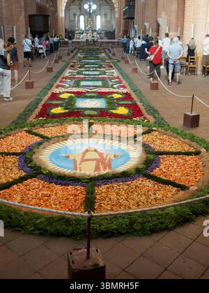 Alseno, Italie 22 juin 2025 rassemblement religieux autour d'un tapis floral complexe représentant Jésus et des symboles sacrés à l'intérieur de l'historique Chiaravalle ab Banque D'Images
