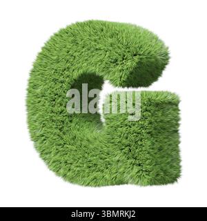 Herbal grass alphabet lettre majuscule G, tourné dans le sens des aiguilles d'une montre. Isolé sur illustration 3D blanche Banque D'Images