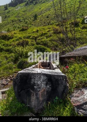 Une fontaine rustique dans les Alpes suisses sculptée dans un tronc d'arbre Banque D'Images