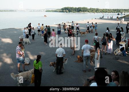 Golden retriever rassemblement près de la rivière à Zemun. Les gens et les chiens socialisent à l'événement annuel de race Zlatna Zurka. Belgrade, Serbie - 7 juin 2025 Banque D'Images