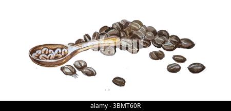 Grains de café dans une cuillère isolée sur blanc. Banque D'Images