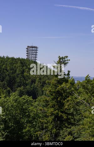 Touristes marchant sur la tour d'observation moderne de la cime des arbres s'élevant au-dessus de la forêt verte dense. ECO-tourisme, aventure en plein air et vues panoramiques Banque D'Images