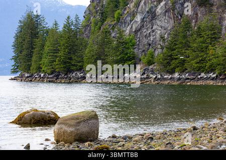 Un rivage océanique à marée basse révèle des pierres marquées par une ligne d'eau proéminente. La plage rocheuse exposée présente des modèles de marées. Banque D'Images