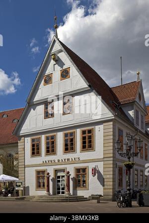 Ancien hôtel de ville, pignon sud avec pilori, celle, basse-Saxe, Allemagne, Europe Banque D'Images