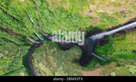 Une vue aérienne de haut en bas de la cascade de Madakaripura met en évidence sa formation unique à plusieurs cours d'eau et la forêt tropicale luxuriante qui encadre cette légende Banque D'Images