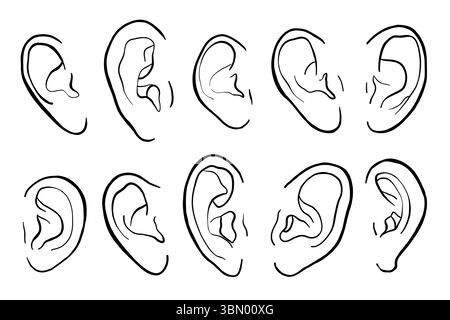 Icône d'illustration vectorielle d'oreilles humaines dessinée à la main définie des lignes noires. Parties du corps humain de différentes races Illustration de Vecteur