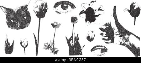 Ensemble de collage de fleurs, chat et oeil humain. Découpe photocopie éléments floraux simples, pouce vers le haut main. Morceaux de fleurs sauvages demi-teintes magazine rétro. Vecteur Illustration de Vecteur