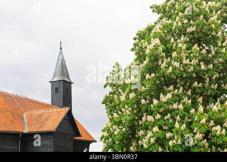 Une scène montrant une vieille église en bois avec un toit rouge vif à côté d'un châtaignier en fleurs. Avec un ciel couvert, l'image souligne le h. Banque D'Images