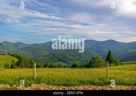 Vue panoramique sur Green Mountains et Meadow. Vaste paysage pittoresque avec des collines verdoyantes, des montagnes boisées, prairie de fleurs sauvages, et partiellement nuageux Banque D'Images