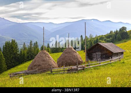 Grange rurale avec Haystacks dans Mountain Meadow. Grange traditionnelle en bois et deux meules de foin sur une colline herbeuse avec forêt et brumeuse chaîne de montagnes bleues Banque D'Images