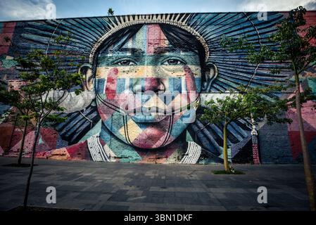 Fresque indigène colorée par Eduardo Kobra dans le centre-ville de Rio de Janeiro, Brésil Banque D'Images