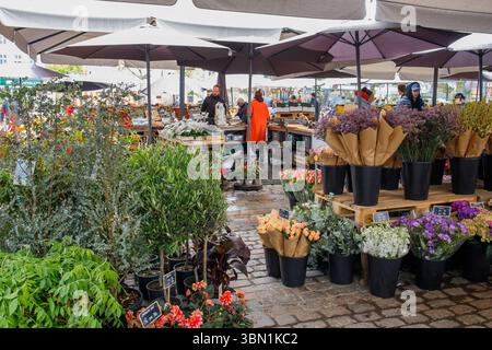 Différentes fleurs coupées fraîches, bouquets et plantes de jardin vendus sur le marché alimentaire Torvehallerne à Copenhague, Danemark Banque D'Images