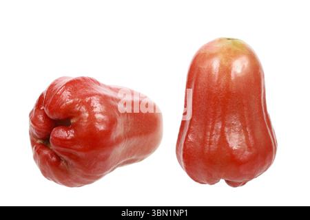 C'est deux pommes roses isolées sur blanc. Banque D'Images