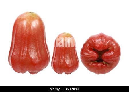 C'est trois pommes roses isolées sur blanc. Banque D'Images