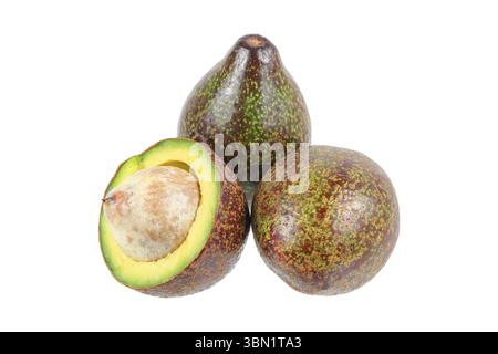 c'est un ensemble d'avocats isolés sur blanc. Banque D'Images