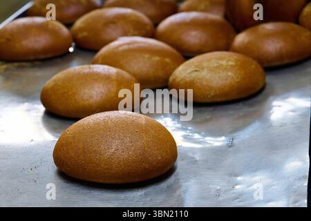 Pain de mélange de seigle blanc fraîchement cuit présenté dans un four de boulangerie avec différents types de pains artisanaux dans un cadre chaleureux Banque D'Images