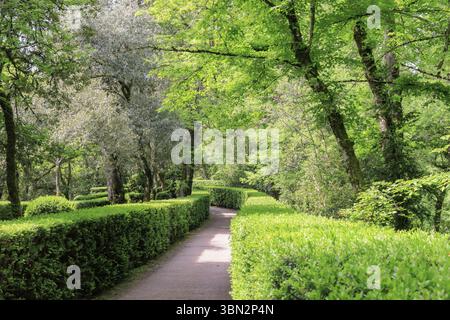 Jardins de Marquyssac près de Beynac le long de la Dordogne dans la région du Périgord en France Banque D'Images