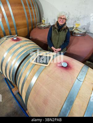 FRANCE. HAUTE-CORSE (2B) CAP CORSE. PATRIMONIO. DOMAINE GIUDICELLI. VIGNOBLE BIODYNAMIQUE Banque D'Images