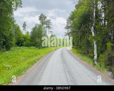 Une route de gravier pittoresque serpente à travers une forêt verdoyante vibrante par une journée nuageuse. Banque D'Images